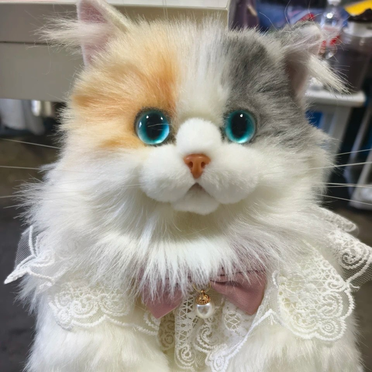 Mochila Con Forma de Gato 100% Realista 60cm + Accesorios de Regalo